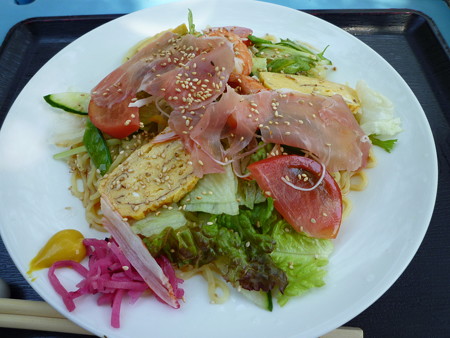 P1040093