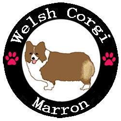 sticker_maron_maru_s1