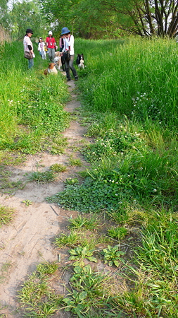 P1020896