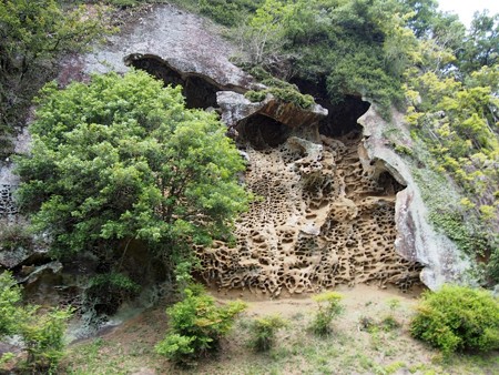 botaniwa_kozagawa05