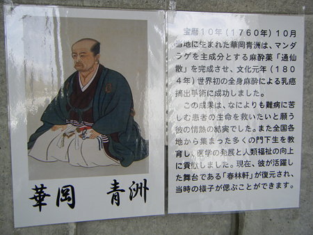 DSCF0613