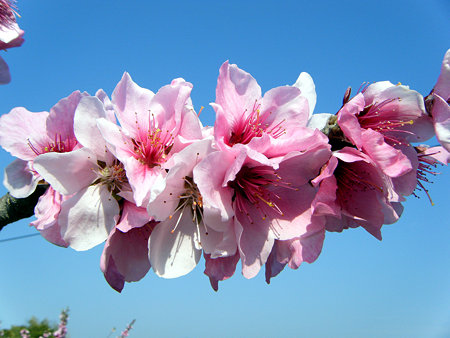 DSCF0904