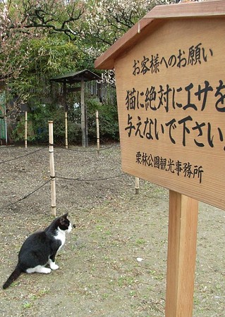 侵略された公園