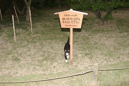 ハナシロと高札