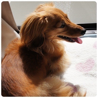 20120710 日向ぼっこ