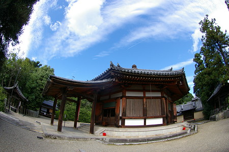 IMGP3141