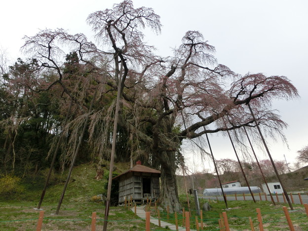 CIMG0406