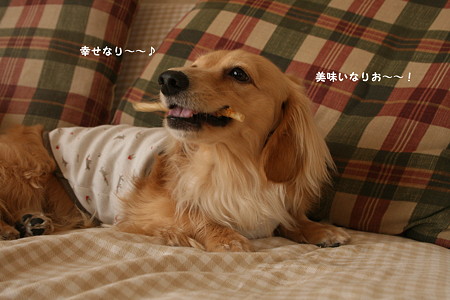 摩耶3
