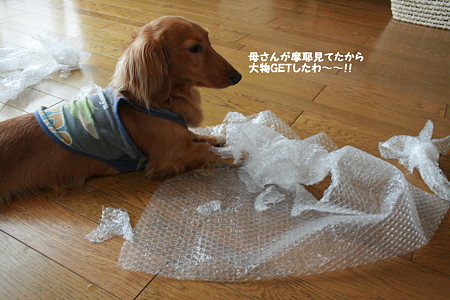 プチプチ5