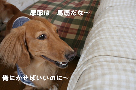 取れない・・4
