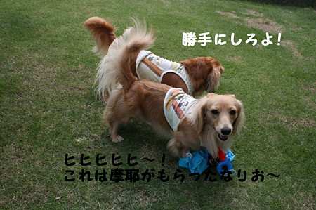 だっこちゃん 6