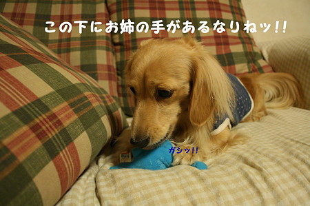 摩耶のおもちゃ4