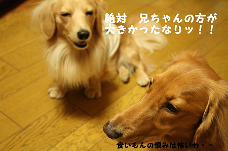 おやつ 10
