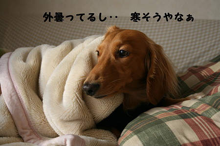 寝起き 2
