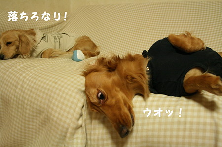 東矢くんと摩耶さん4