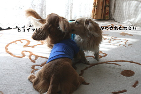 かわす!
