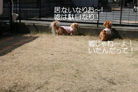 お庭で遊ぼう♪ 7