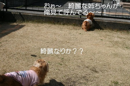 お庭で遊ぼう♪ 6