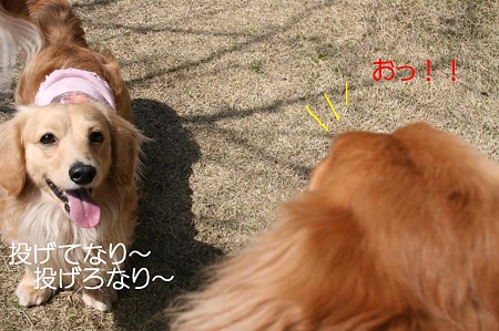 お庭で遊ぼう♪ 5