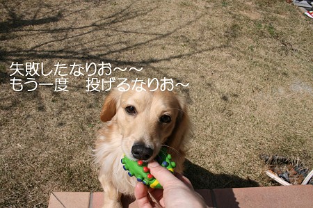お庭で遊ぼう♪ 4