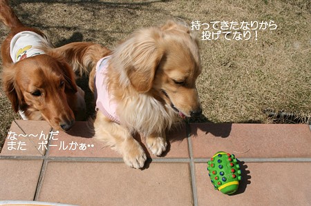 お庭で遊ぼう♪ 2