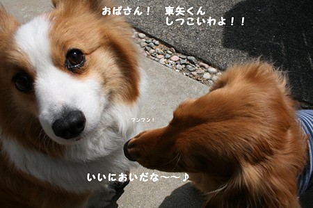 はじめまして~れーちゃん♪