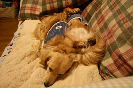 ZZZZZ 3