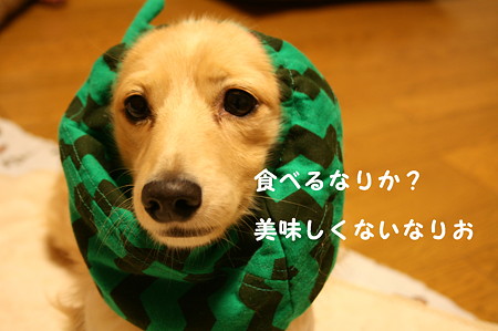 ほっかぶり隊 2