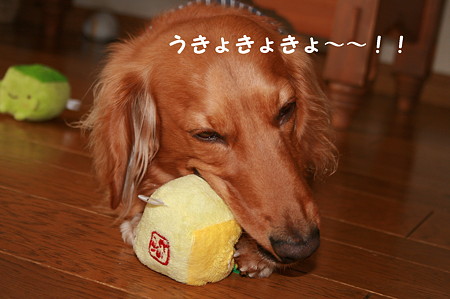 おNEWおもちゃ 4