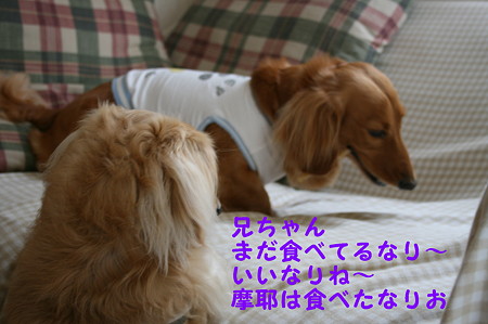 おやつ 3