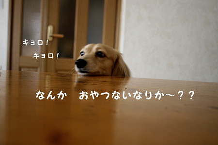 腹ペコ摩耶さん