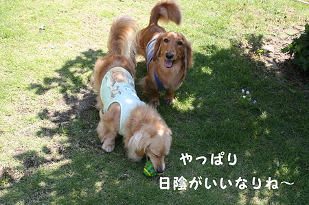 摩耶3