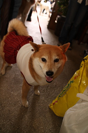 かわいくとってね。