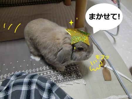 七夕4