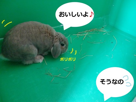 そうじ4