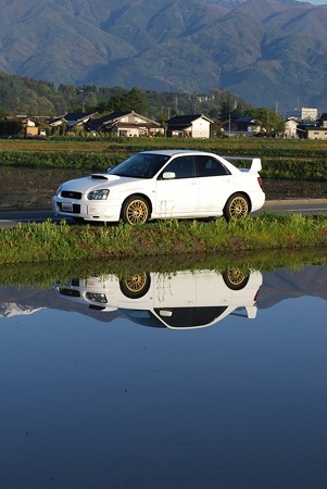 DSC_1266