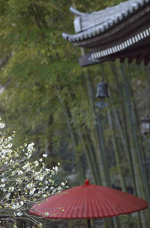 長谷寺 01