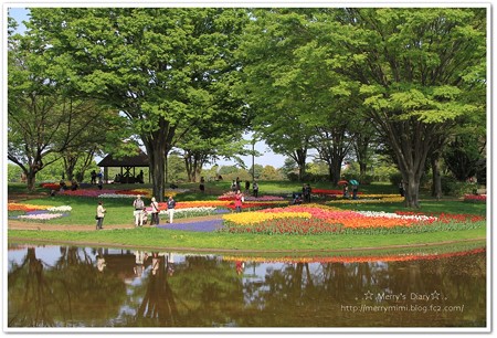 昭和記念公園