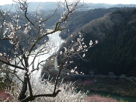 展望台から